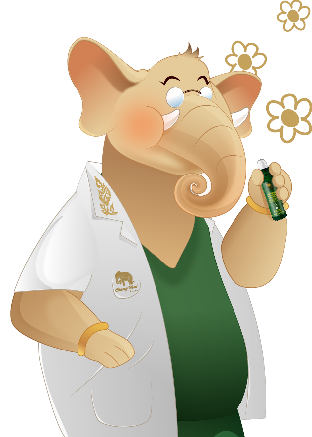 ช้างไทย