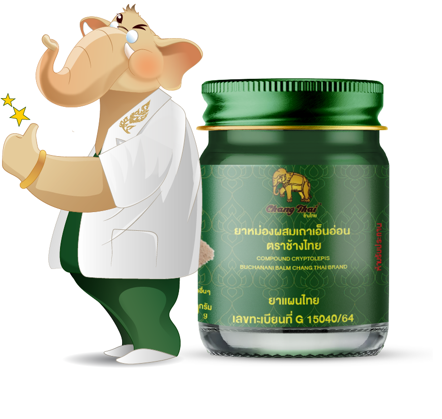 ช้างไทย ยาหม่องผสมเถาเอ็นอ่อน